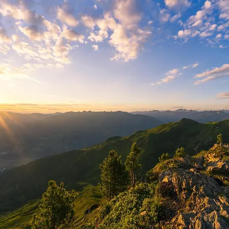 Loris * Hart im Zillertal